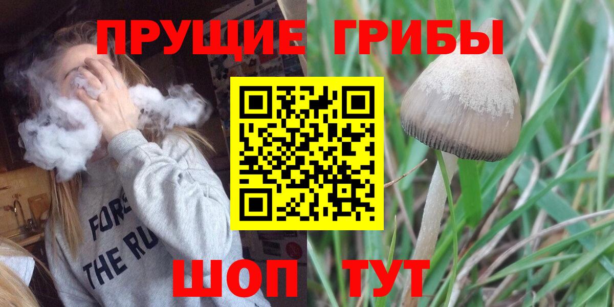 Псилоцибиновые грибы Psilocybe  Вход с VPN  Курск 
