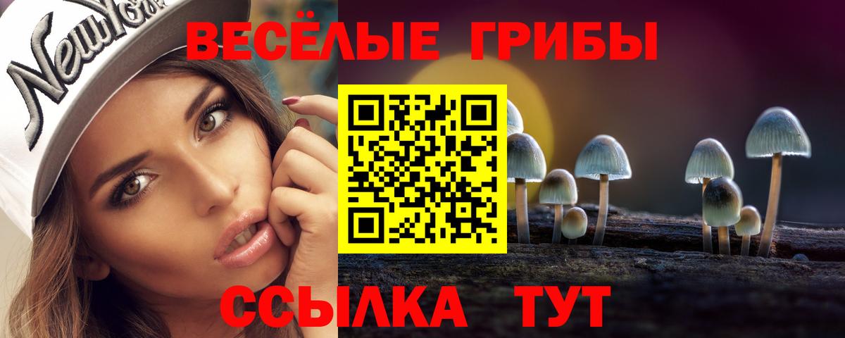 Псилоцибиновые грибы GOLDEN TEACHER Курск