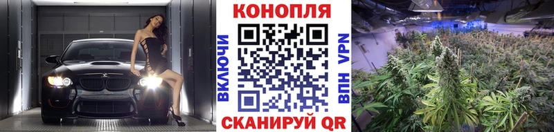 Марихуана тримм  Курск 